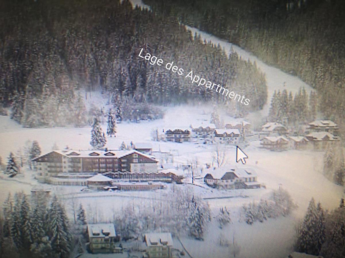 Panoramaalm - Ski In - Ski Out 巴德小基希海姆 外观 照片