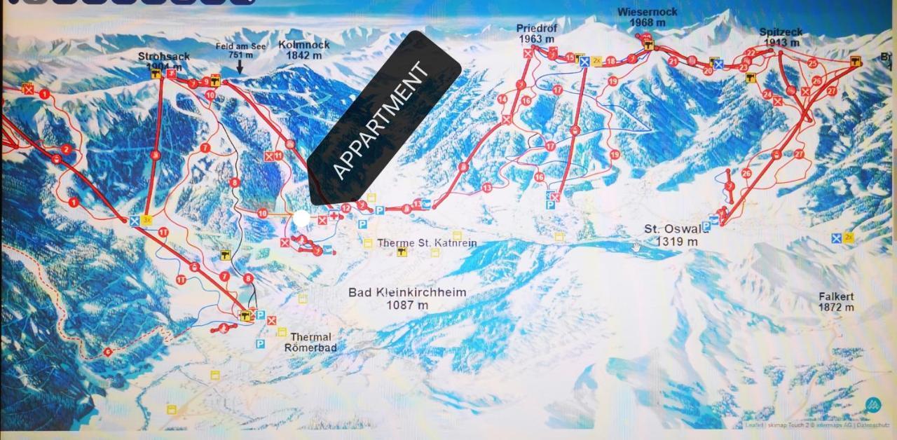 Panoramaalm - Ski In - Ski Out 巴德小基希海姆 外观 照片